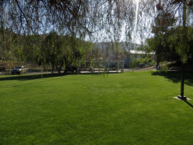 Shaded outdoor play area at All Dogs Train