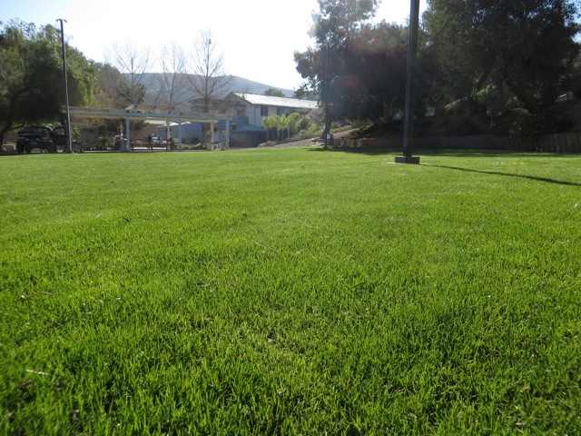 Large grassy exercise yard at All Dogs Train in Wildomar, CA